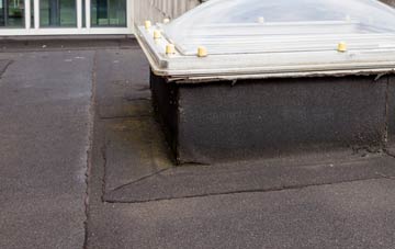 disadvantages of Roddam flat roofs