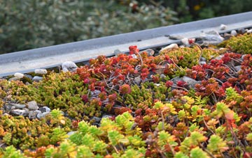 the cost of Roddam green roof installation