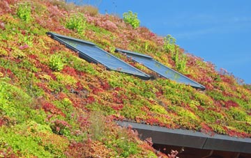 Roddam living roof systems