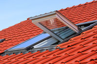 Roddam roof window