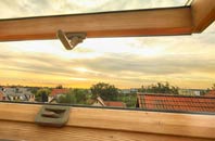 rated Roddam roof window companies